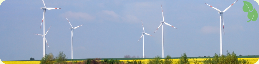 GAA des cabinets écologiques